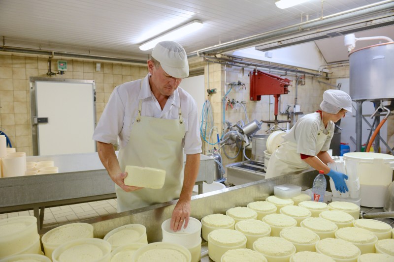 Fransa'da peynir şekillendirme