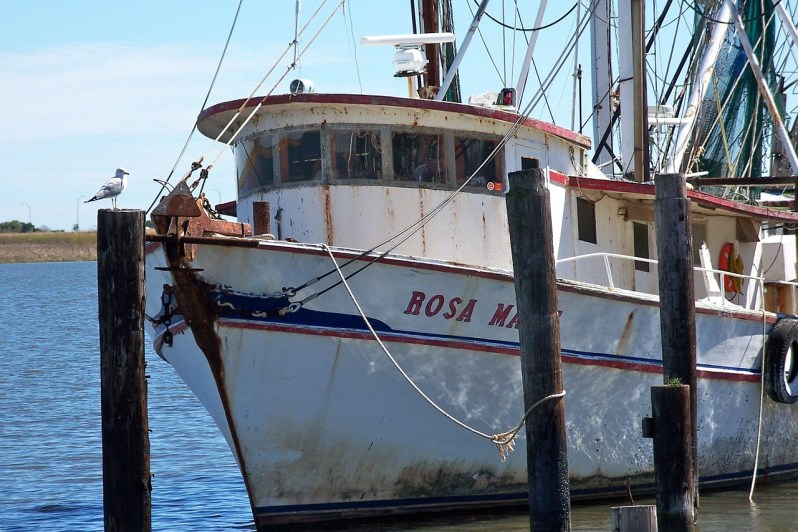 Boat docked in Apalachicola Bay
