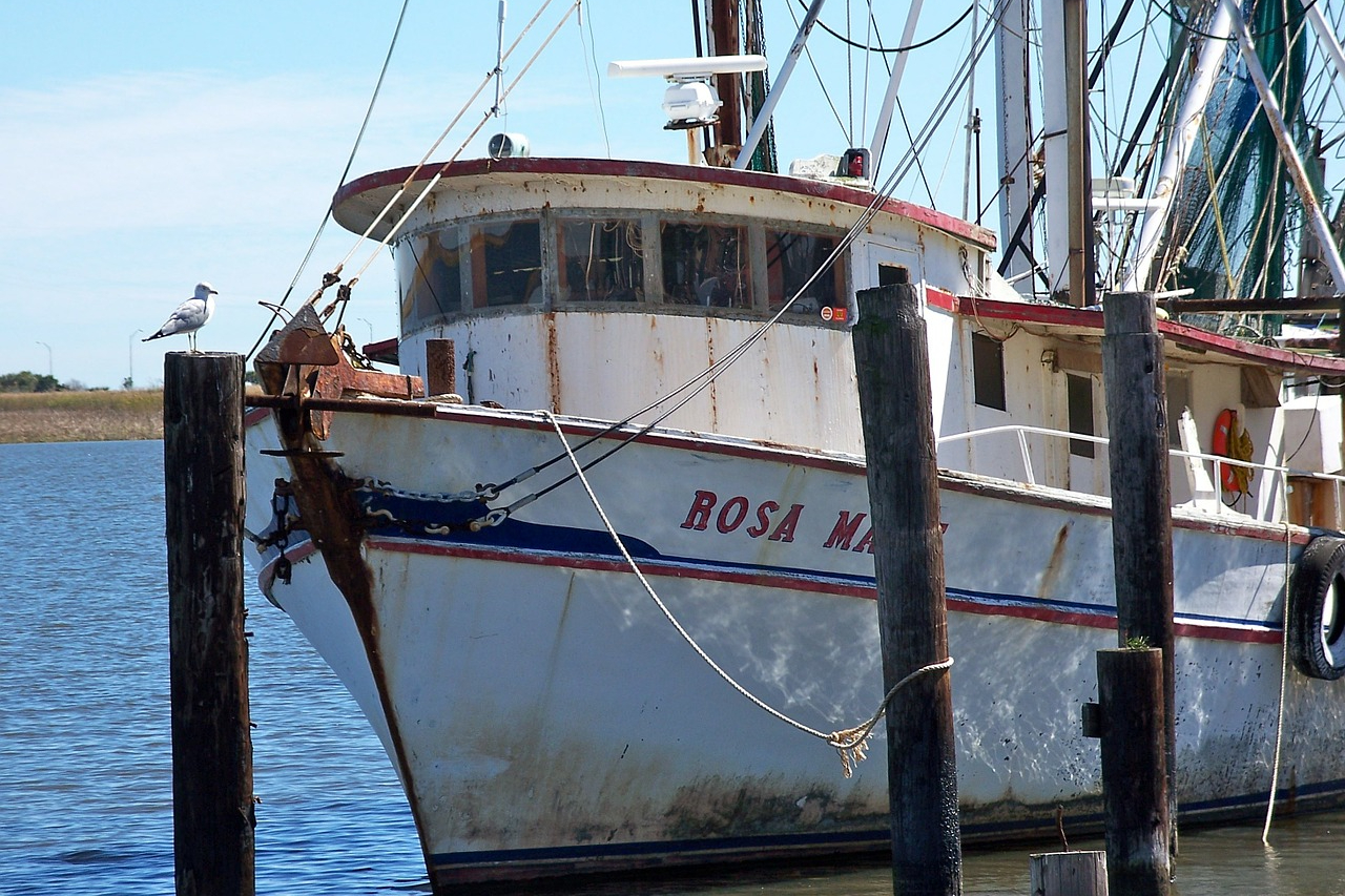 Boat docked in Apalachicola Bay