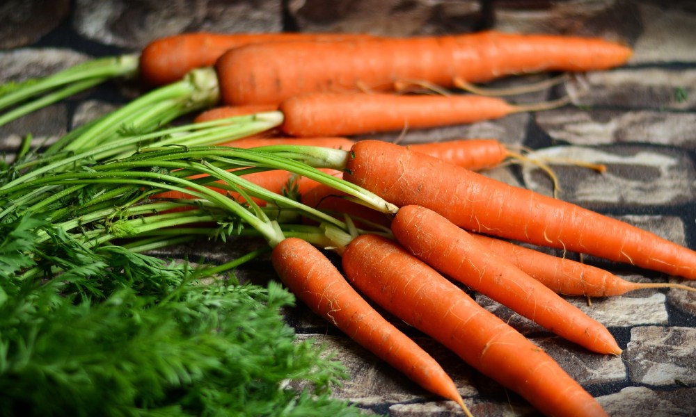 Carrots with their tops