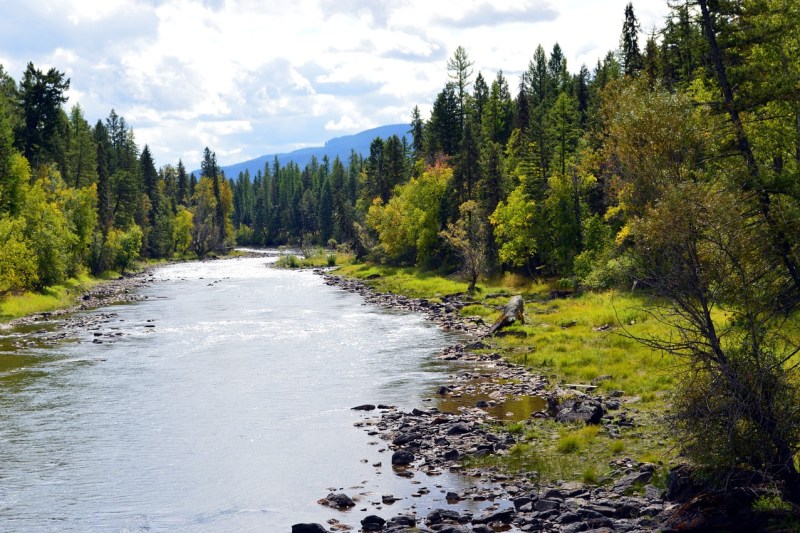 Montana River with mountains in background