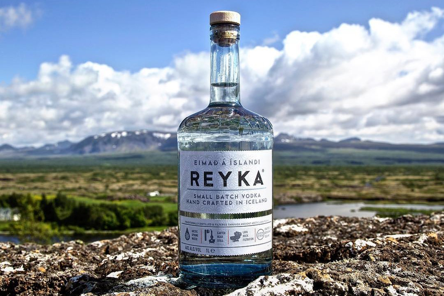 Our favorite vodkas for 2024, ranked The Manual
