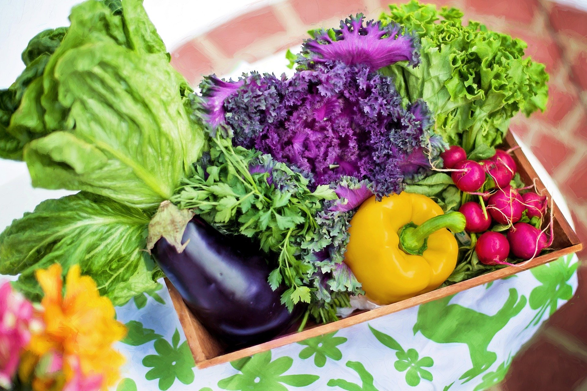 Bounty of healthy vegetables