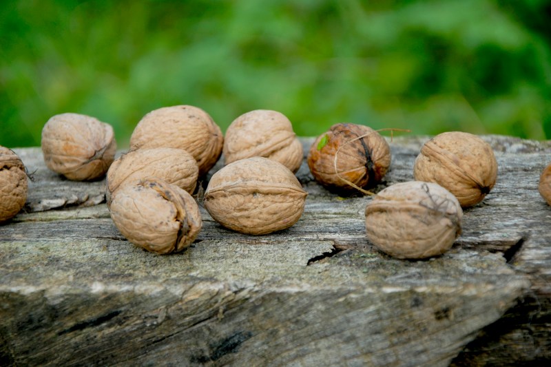The 13 Best Foods That Men Should Eat to Prevent Hair Loss - The Manual The 13 Best Foods That Men Should Eat to Prevent Hair Loss - The Manual