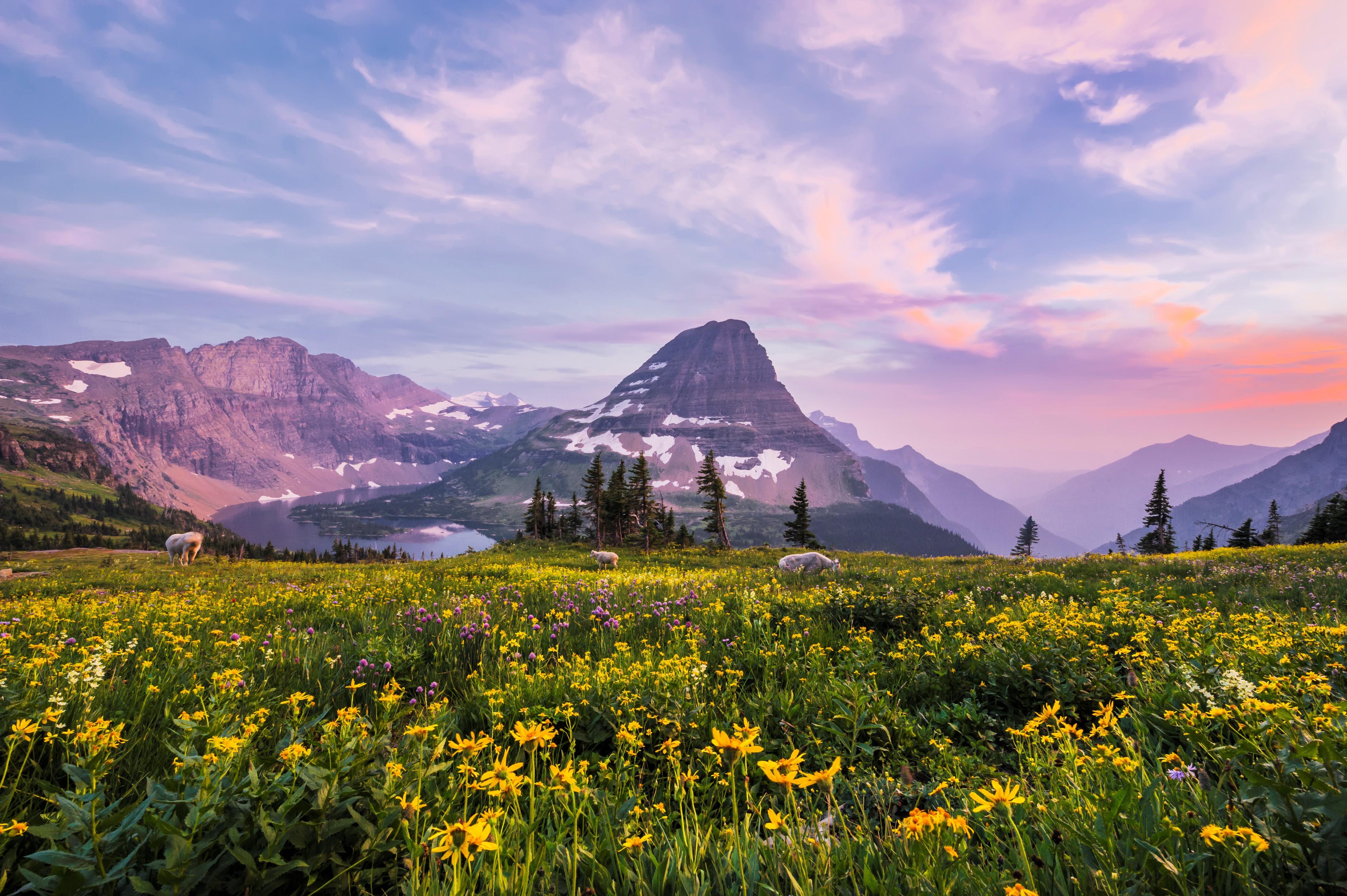 Hidden Lake, Glacier National Park