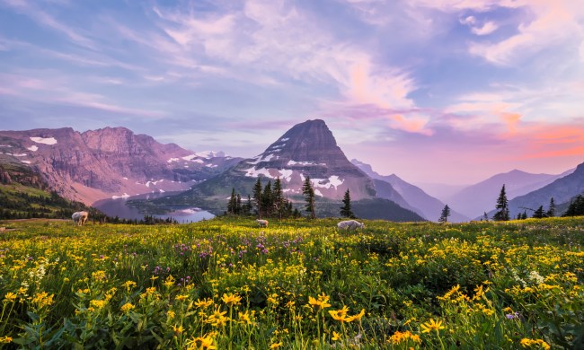Best National Parks Header Image - Hidden Lake, Glacier National Park
