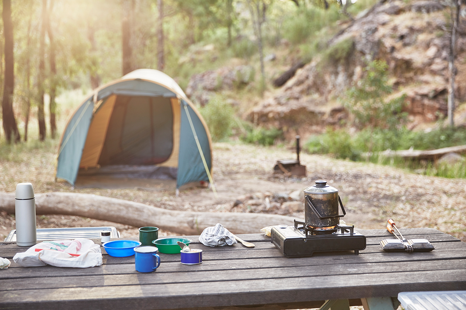 Best Recyclable Cups, Bowls, and Plates to Make Your Next