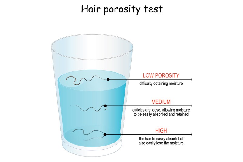 Hair porosity test
