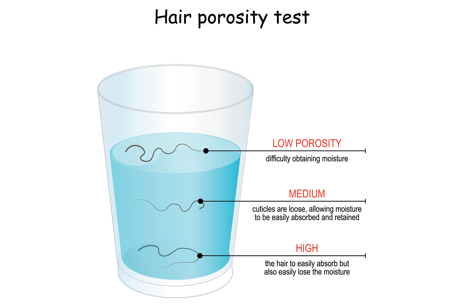 Hair porosity test