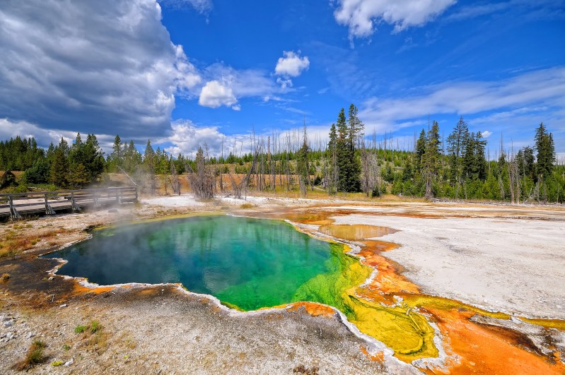 Geyser in Yellowstone National Park in Wyoming.
