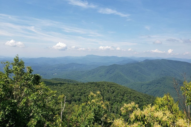 A view of the Art Loeb Trail at day.