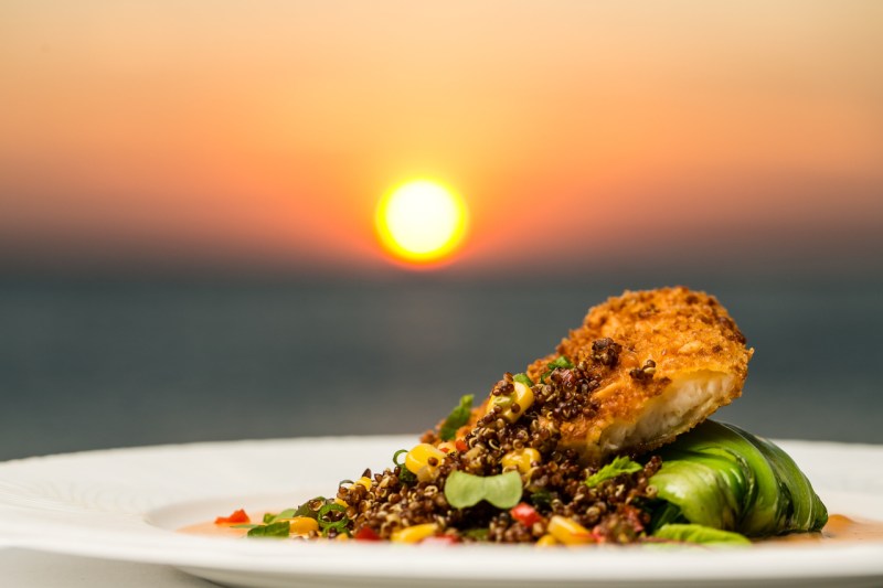 Macadamian grouper at Atardi restaurant on Palm Beach