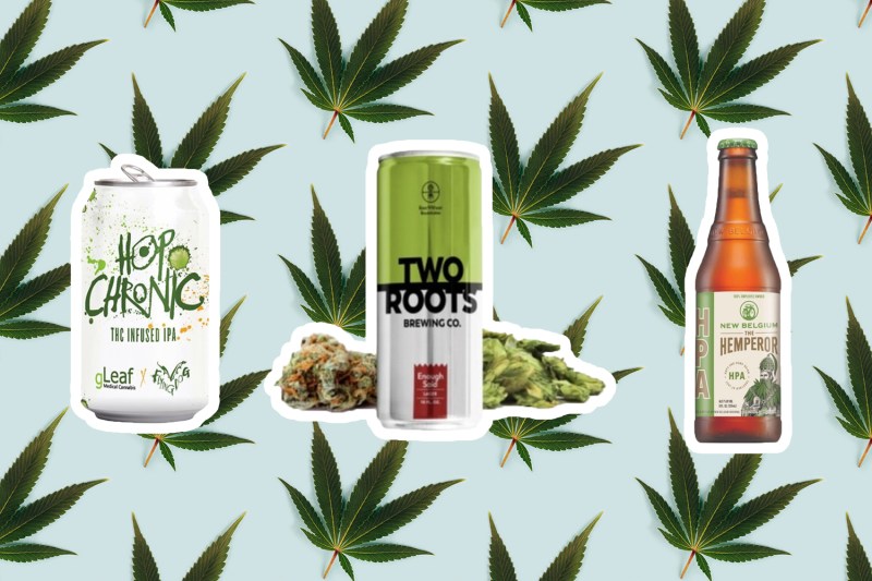 Three different kinds of cbd beers on marijuana leef background.