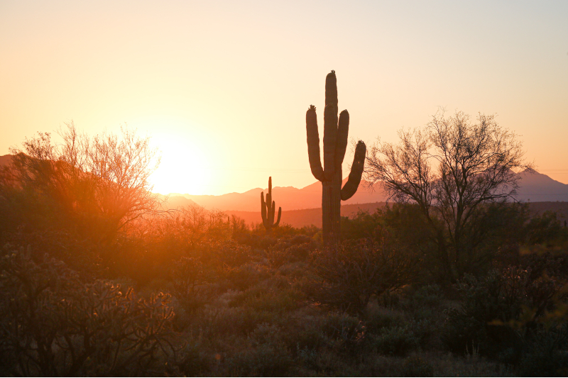 A Phoenix, Arizona sunset.