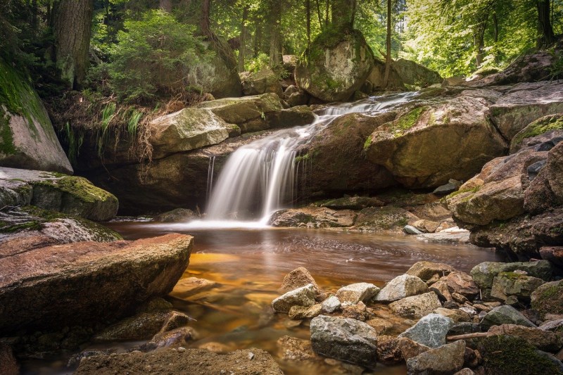 River flowing through the woods.