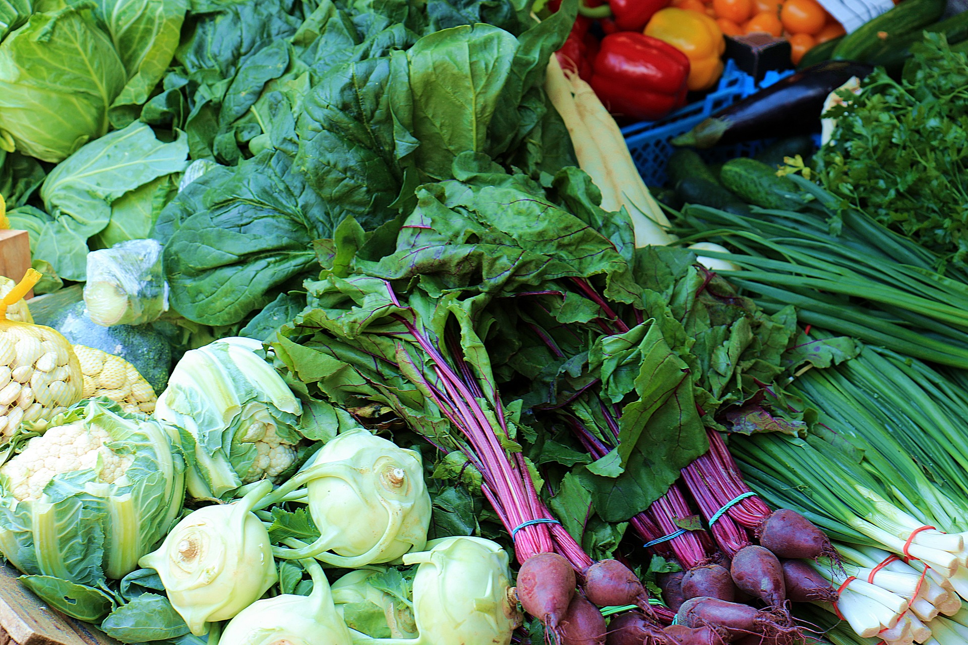 Alimentos con prebióticos como achicoria, remolacha y puerros.