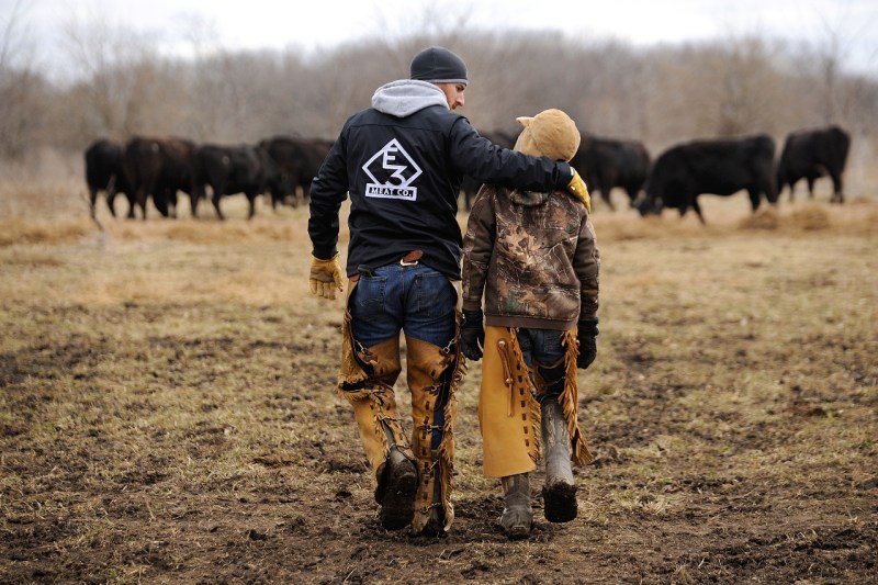 Adam of E3 Ranch with son Drake walking towards cattle.