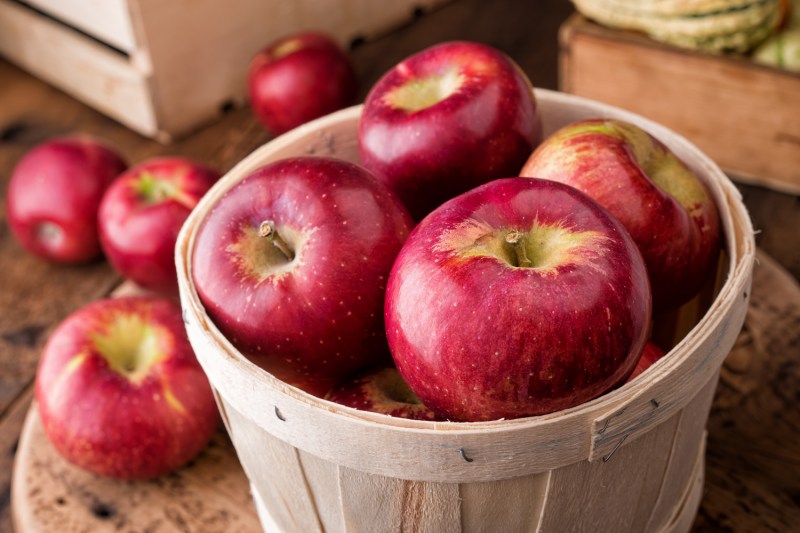 Apples in a basket.