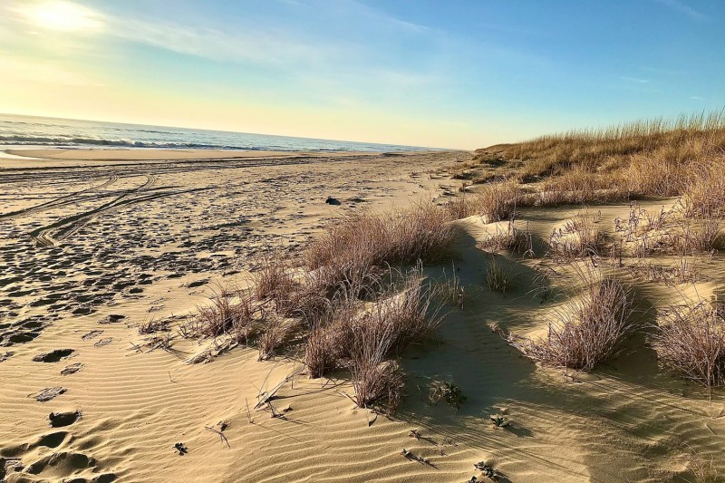 The landscape of False Cape.