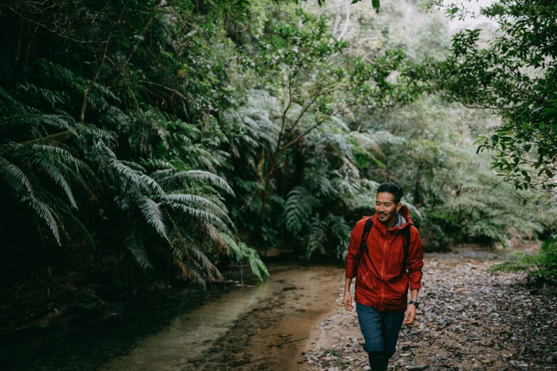 A man hiking in a forest