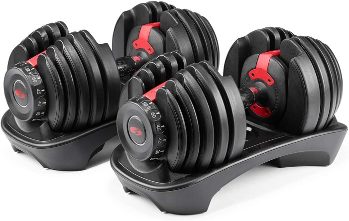 bowflex dumbells, set of two in black and red, on a white background.