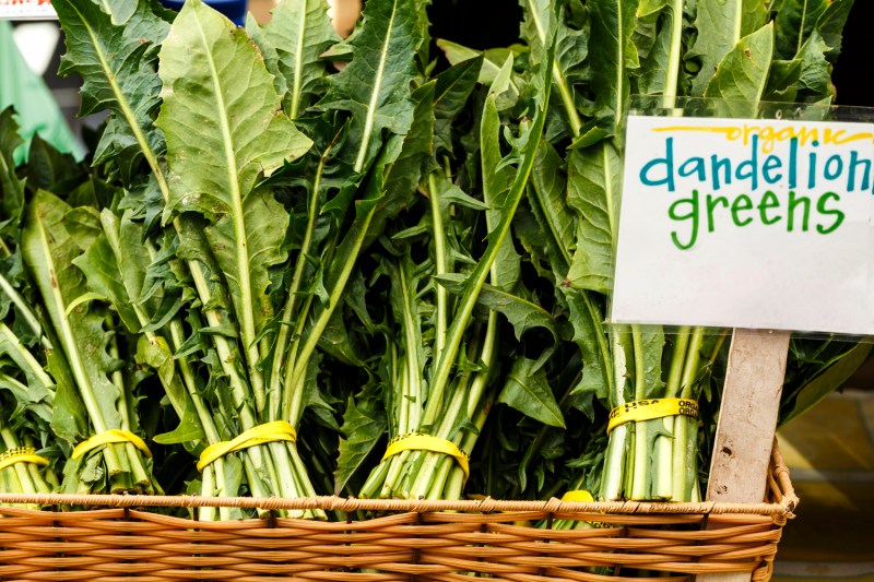 Hojas de diente de león vendidas en un mercado de agricultores.