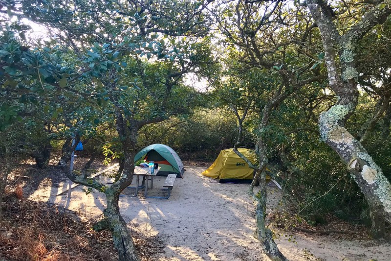 Camping tents at False Cape