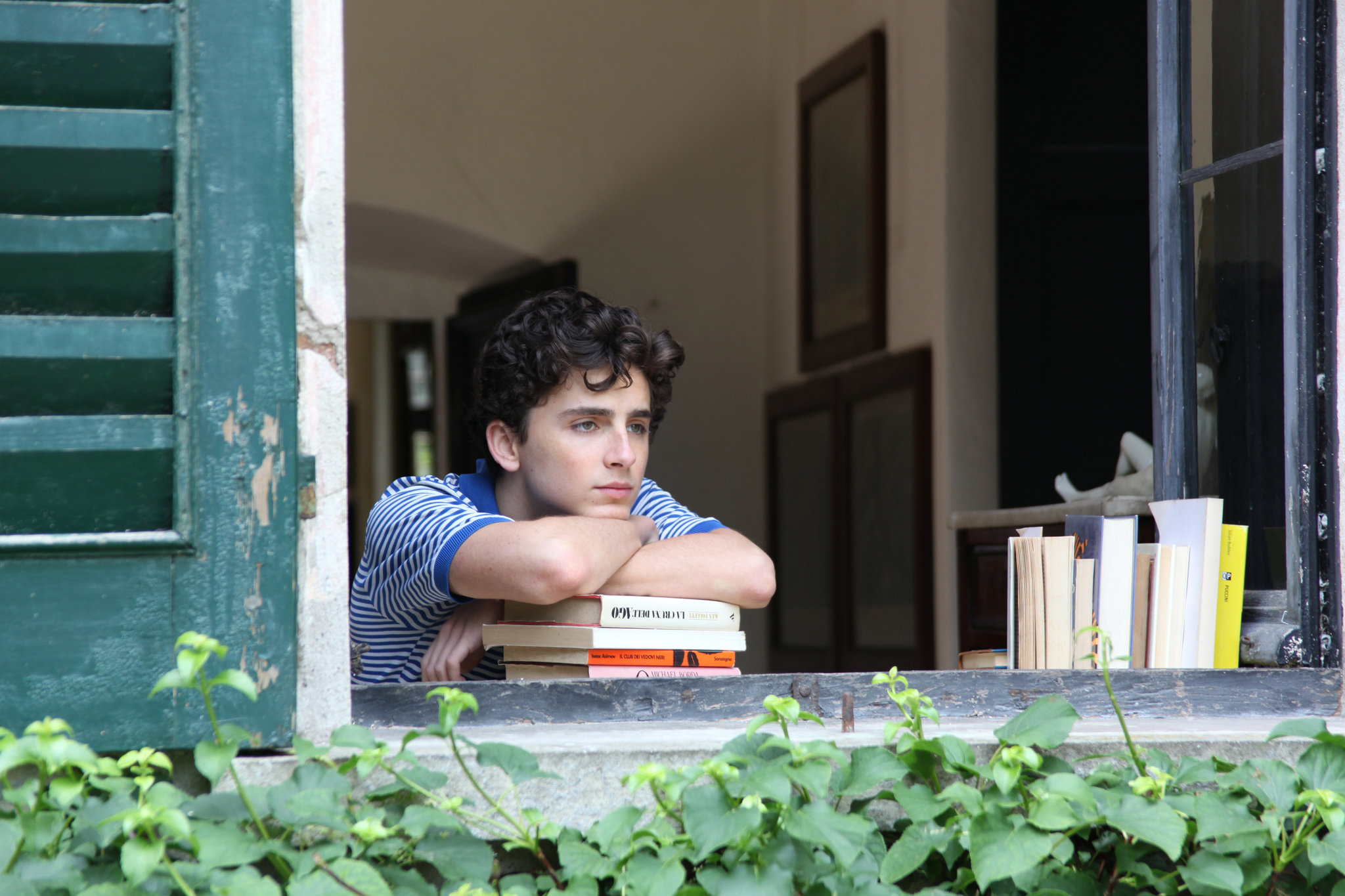 Timothee Chalamet in Call Me By Your Name.