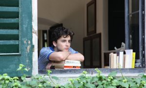 Timothee Chalamet in Call Me By Your Name