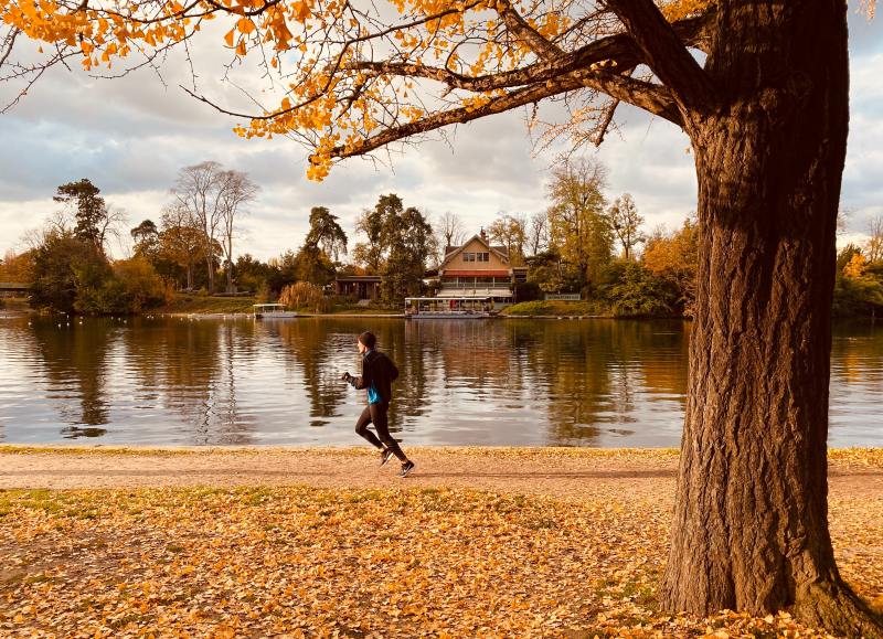 A man running on fall foliage near a lake.