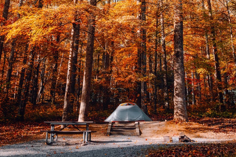 A table and a tent under the trees in autumn.