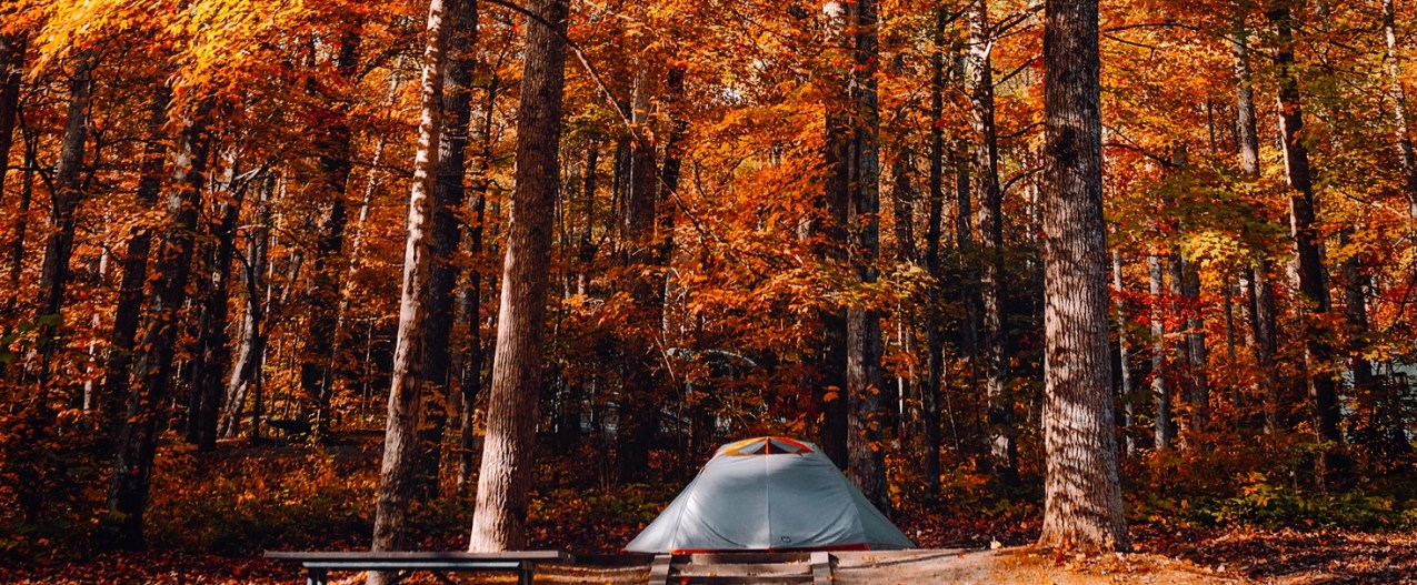 A table and tent under the trees in fall.