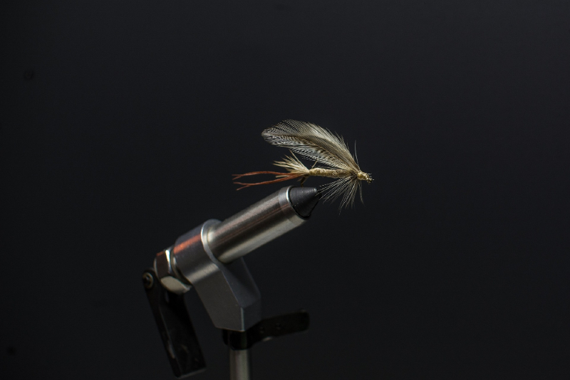 a fly on a fly tying machine.
