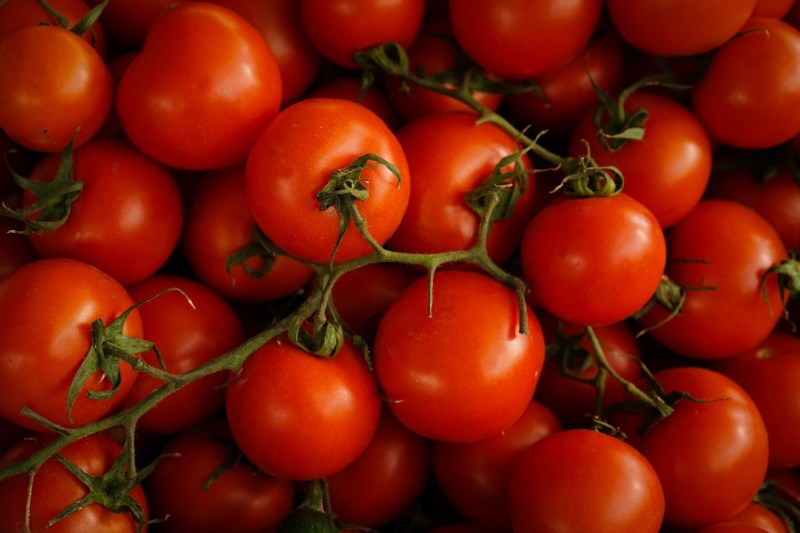 tomates maduros frescos de vid.