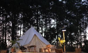 camping vs. glamping campsite