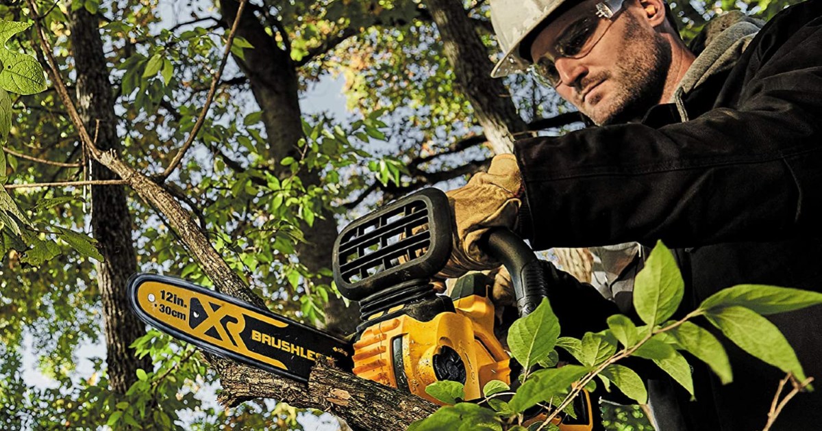 https://www.themanual.com/wp-content/uploads/sites/9/2021/11/dewalt-20v-max-xr-chainsaw-trimming-branches.jpg?resize=1200%2C630&p=1