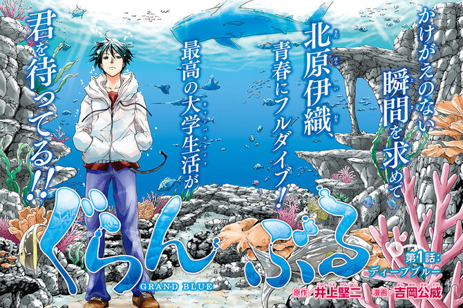 Grand Blue anime to stream only on : r/anime