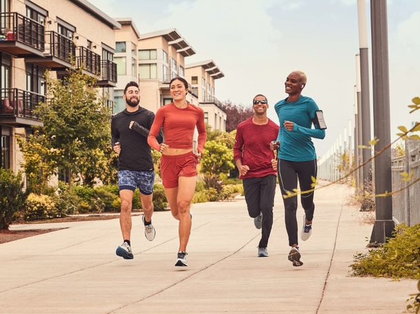 Marcy home gym online academy sports