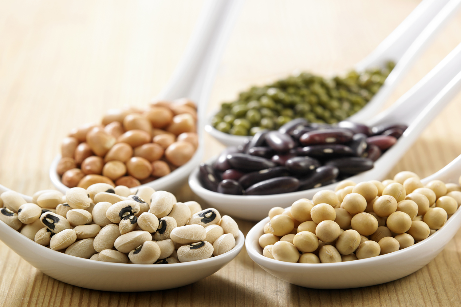 What Are Legumes? - Healthier Steps