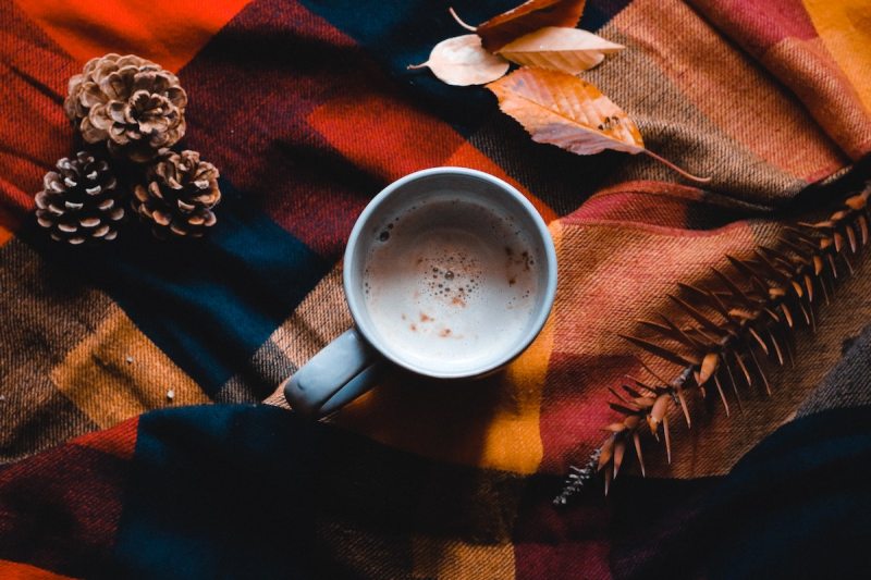 A cup of hot chocolate surrounded by fall decorations, pine cones, and leaves.