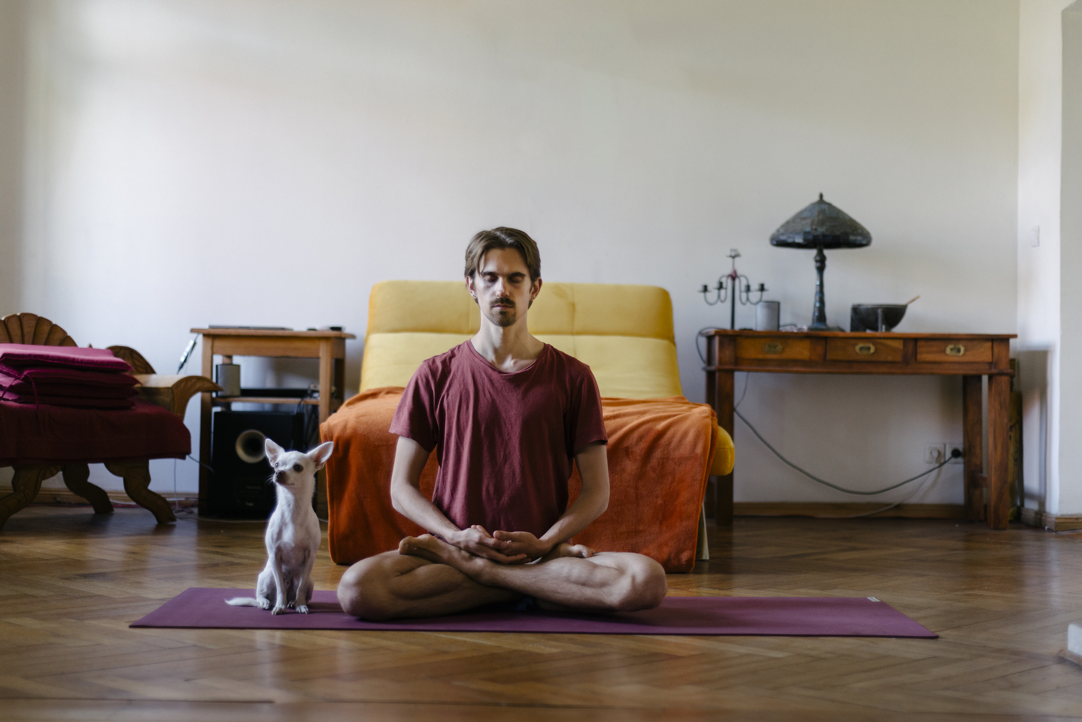 Man doing yoga in front of bed with dog