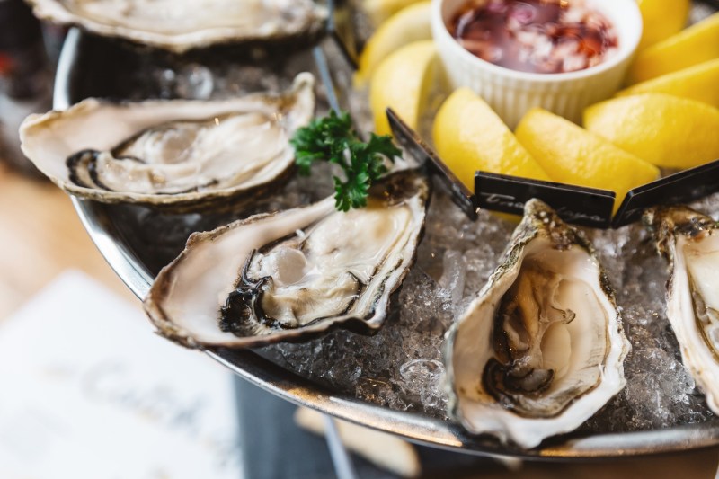 A serving of oysters