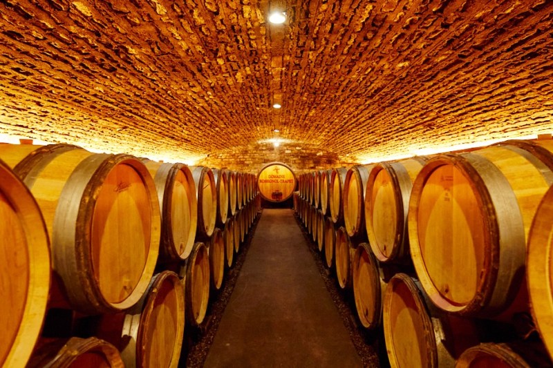 Vivant Burgundy cellar caves image.