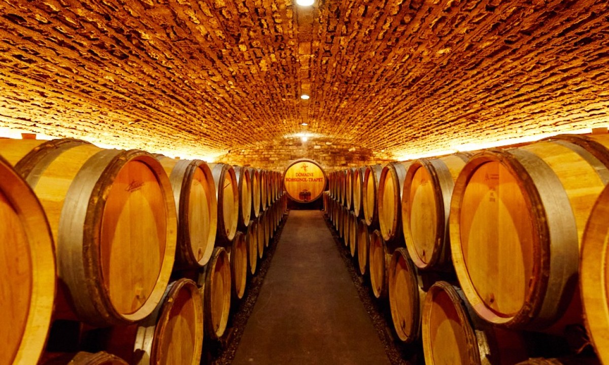 Vivant Burgundy cellar caves image.