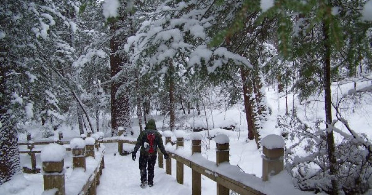 Dont Let The Season Stop You Our Top Picks For The Best Winter Hiking