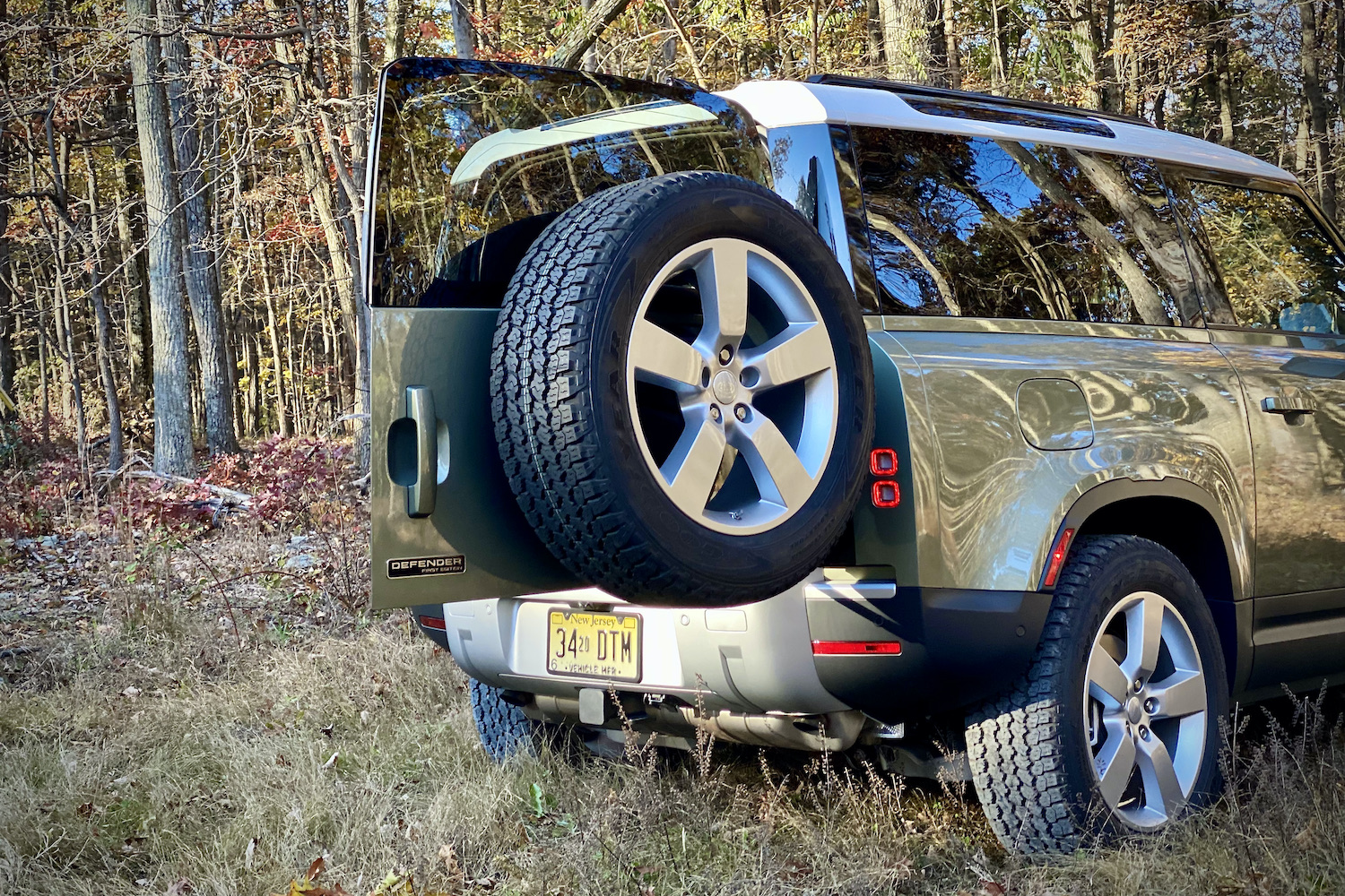 Close up of Land Rover Defender swing-out liftgate in grassy field.