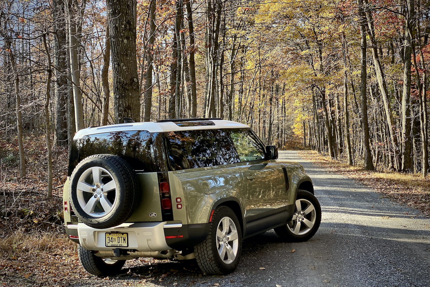 Land Rover Defender rear end from passenger's side with trees in the back.