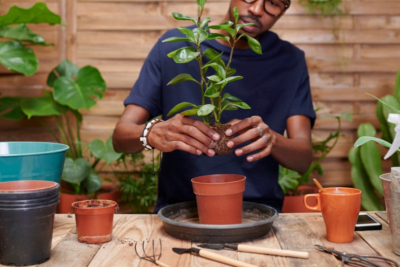 A man repotting a plant in his workspace.