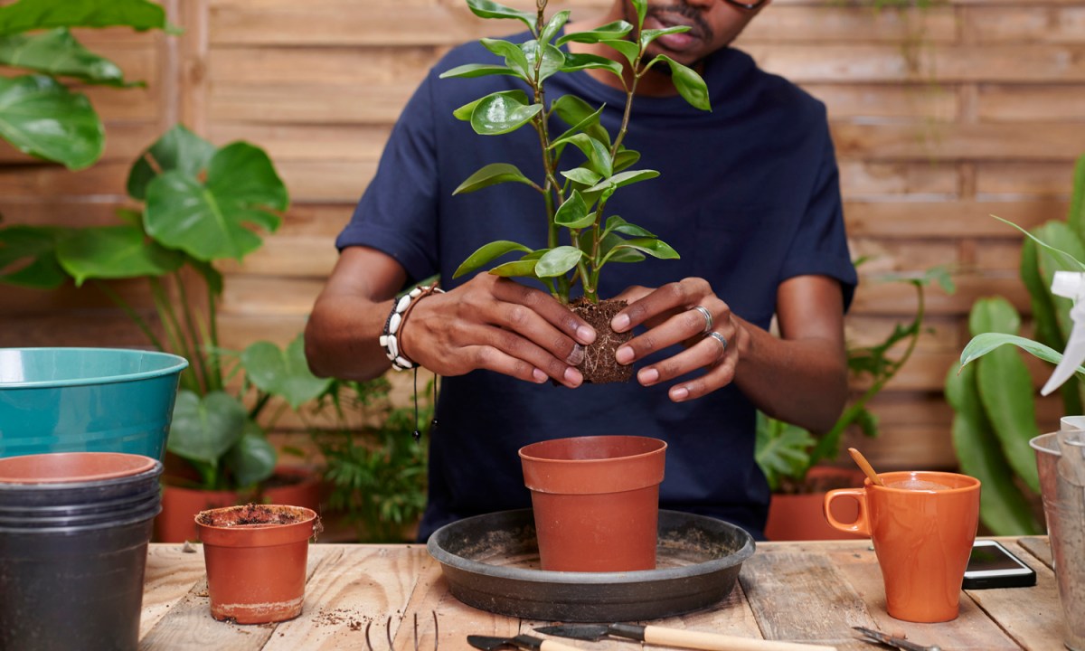 A man repotting a plant in his workspace.