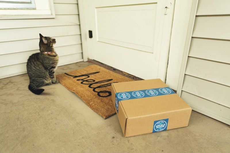 A cat near a "Hello Doormat" and a subscription box patiently waits for the door to open.